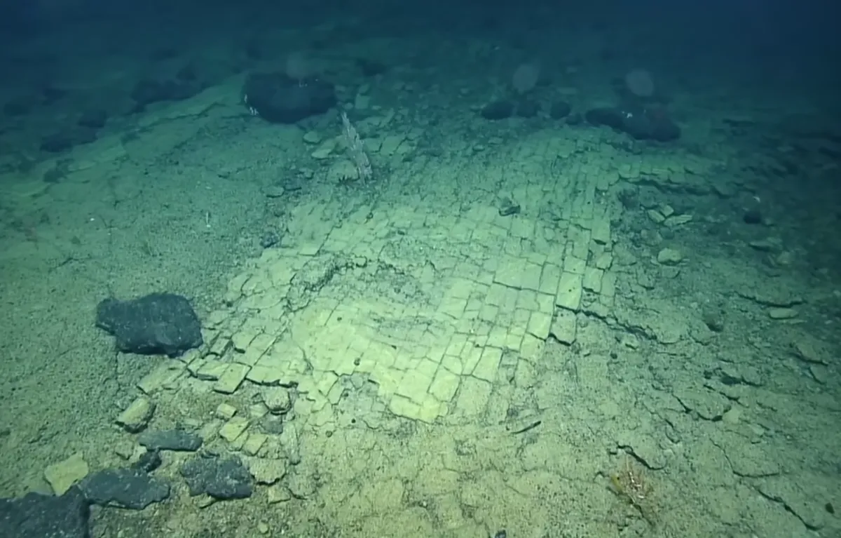 Патека од жолти тули на дното на Тихиот Океан - научниците воодушевени од откритието