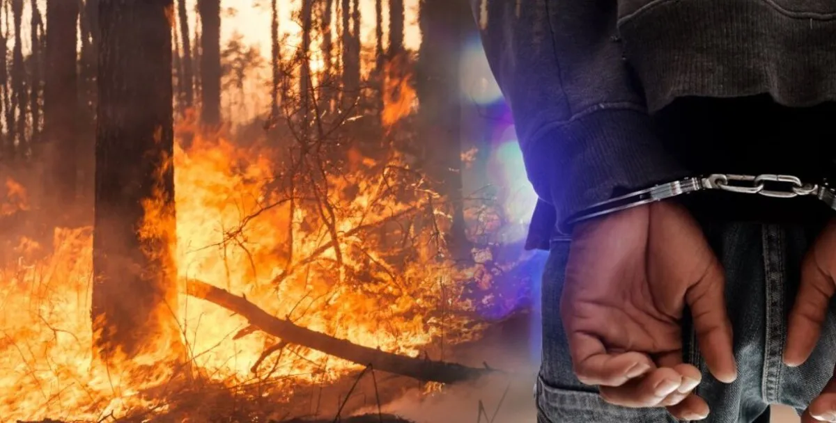 Уапсен радовишанец за пожарот на Плачковица - изгоре шума и викенд-куќа