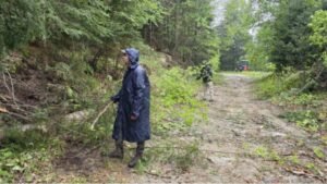 Пелистер по 30 години повторно отвора: 8 километри пат од Инфо центарот до Ловечка куќа, две фази до 13 јули