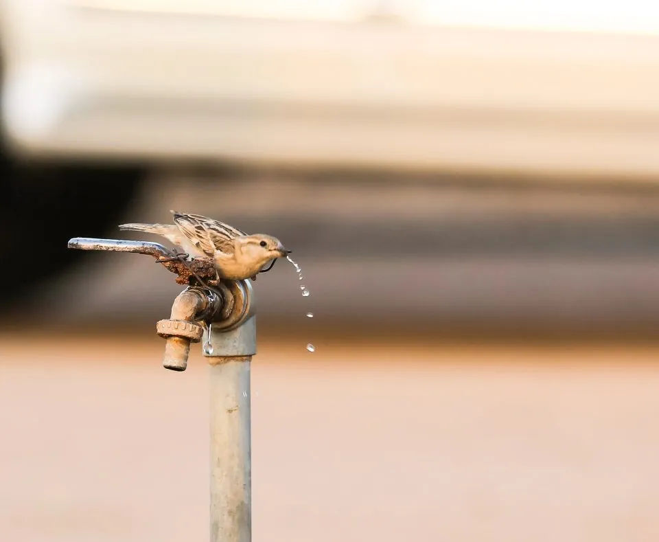 Дел од Карпош без вода 20 часа: санација на улица Никола Парапунов