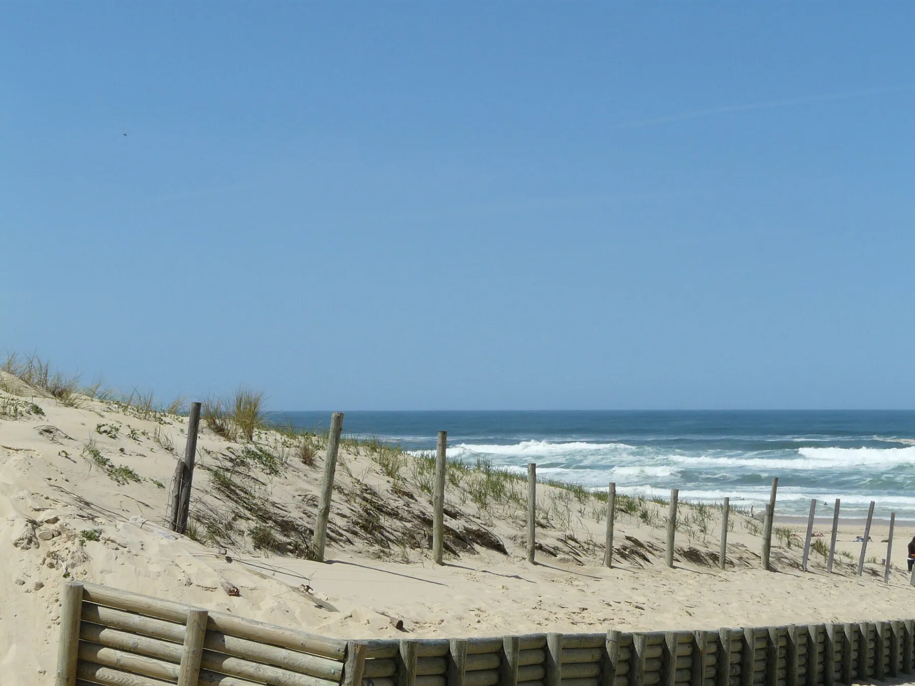 Les Landes: 120 kilometres of French beaches tourists skip, and one emperor who made them