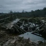 Мост скршен од багер, вода во Гостивар и Рич, Скопје 2028 повлечен, уставна судијка со 64 гласа