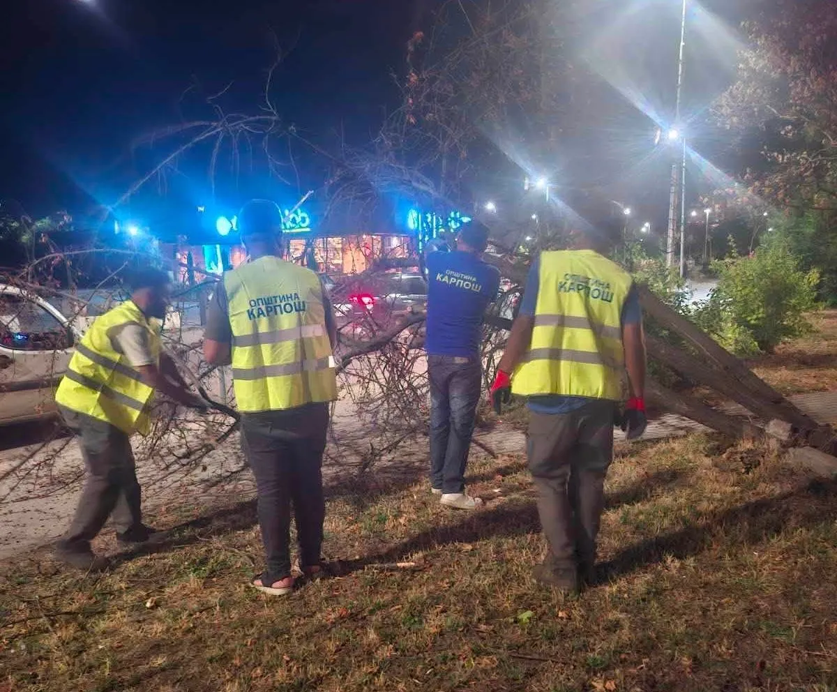 Невреме во Скопје: Дрво падна врз 88-годишна жена во Козле, најмногу настрада Карпош