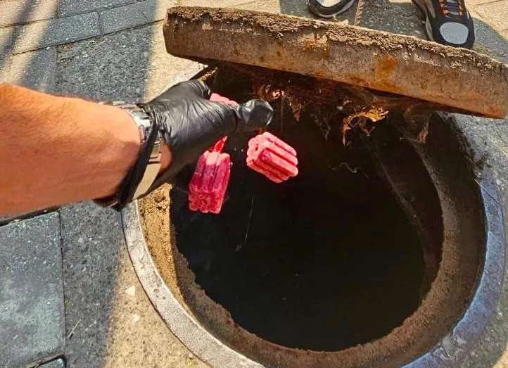 Вонредна дератизација во Центар: списокот на локации ја открива и причината