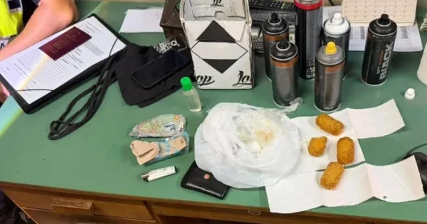 Понеле спрејови и храна за кучиња: обидот за графити на железничкиот имот бил планиран, не импулс