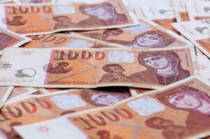 Тетовец пријавил дека баба му и дедо му му украле 3,5 милиони денари - пријавата била лажна