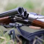 Пукал со ловечка пушка во кучиња скитници и убил едно - кривичната пријава стигна по речиси три месеци