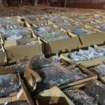 Осум тони марихуана поминале преку граница за една година: разликата во тежината била измерена, синџирот работел месеци
