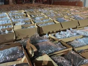 Осум тони марихуана поминале преку граница за една година: разликата во тежината била измерена, синџирот работел месеци