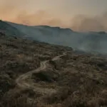 Пожари во Богомила, обвинение за Државна лотарија, 25 години Охридски договор, куршуми над Скопје