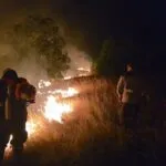 Пет пожари сè уште горат, кај Чаниште огнот се дели на четири крака: за првпат ова лето превентивно се ангажира Армијата