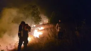 Пет пожари сè уште горат, кај Чаниште огнот се дели на четири крака: за првпат ова лето превентивно се ангажира Армијата