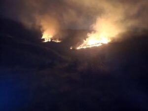 Пет жаришта во една ноќ кај Раец: градоначалникот алармира преку Фејсбук, превентивата пак остана тема за септември