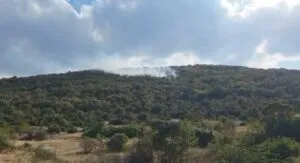 Китка гори веќе денови, а ДЗС вели дека некој секој ден повторно ја пали