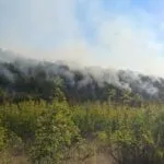 Шест пожари горат утрово, 22 изгаснати преку ноќ: Во заградите пишува дабова шума, не грмушки
