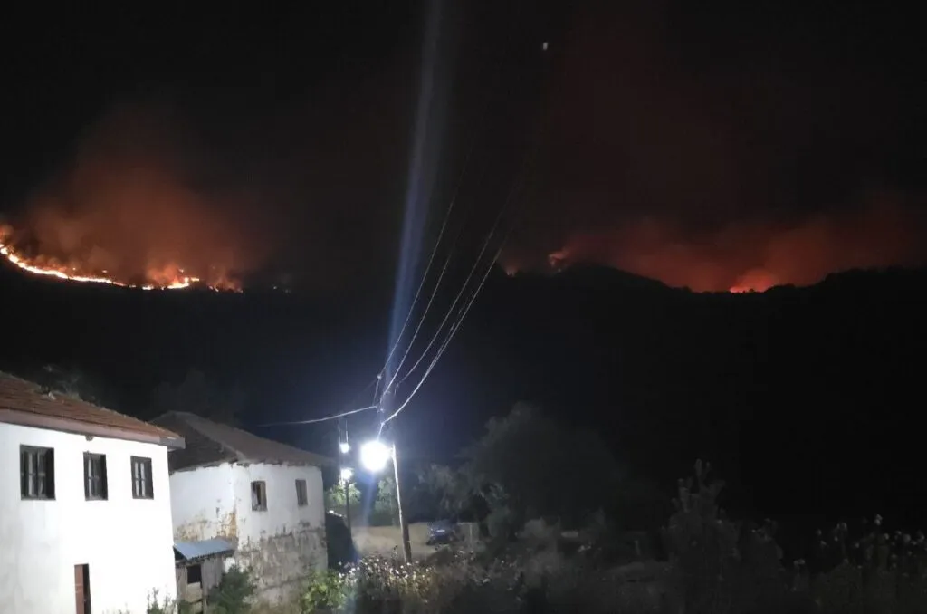 33 пожари за едно деноноќие: букова шума гори во Кичево, а огнот кај Куманово стигна до куќите