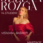 Јелена Розга во Башкоти во Вишњан на 14 ноември - поранешната пејачка на Магазин за Мартиње во Истра