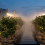 Dior ја облече асиметријата: Џонатан Андерсон се инспирираше од кинески ореви што се тркалаат во дланка, а дрвјата од ревијата ќе растат во спомен на Матилд Фавие