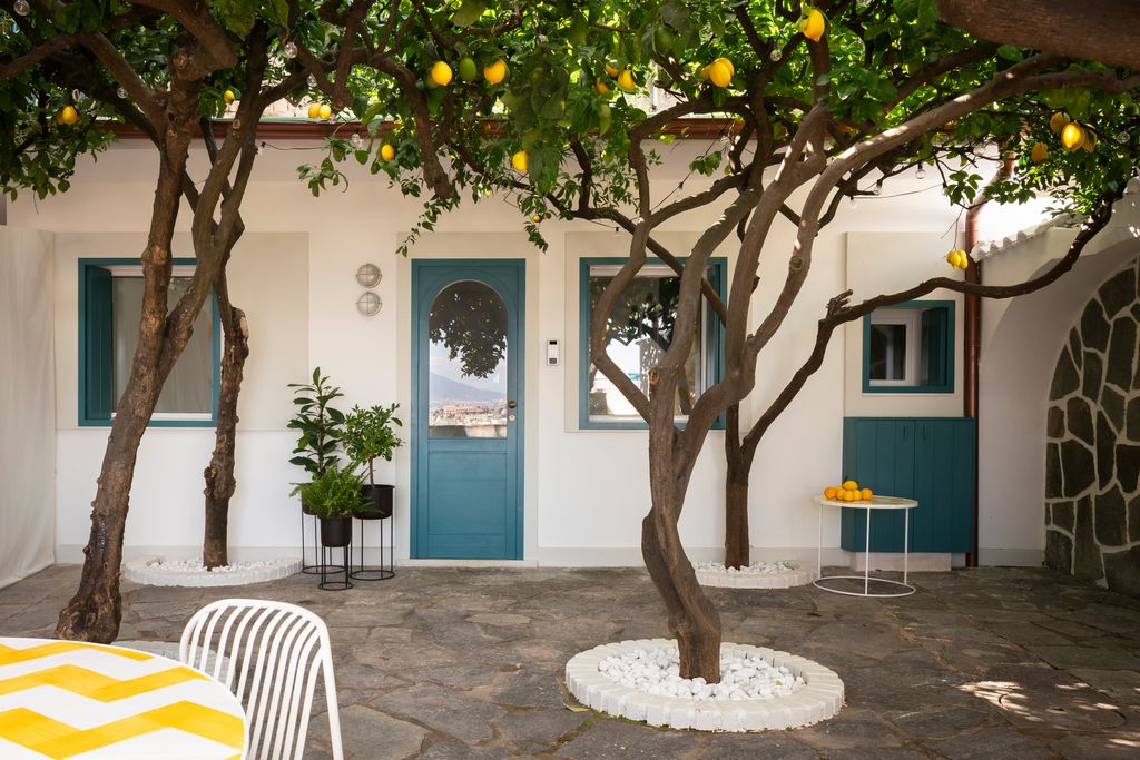 Courtyard with lemon trees in front of the flat's entrance