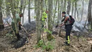72 часа, армиски хеликоптери и доброволци од половина Македонија: пожарот на Пелистер бил подметнат