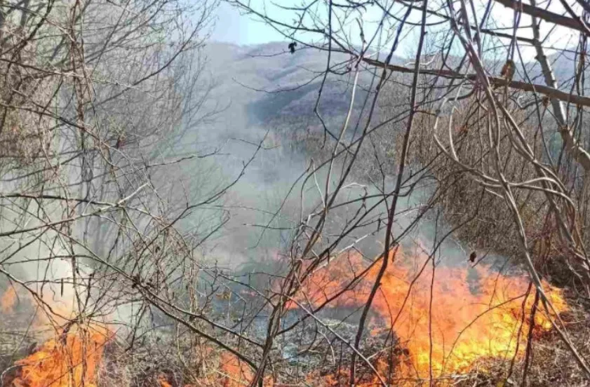 Чистел двор со оган под Шар Планина и запалил половина падина: секој чекор во синџирот работи, само превенцијата ја нема