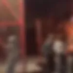 Петарда запали дрво во паркот Капиштец - жителите велат дека ја викале полицијата секој ден