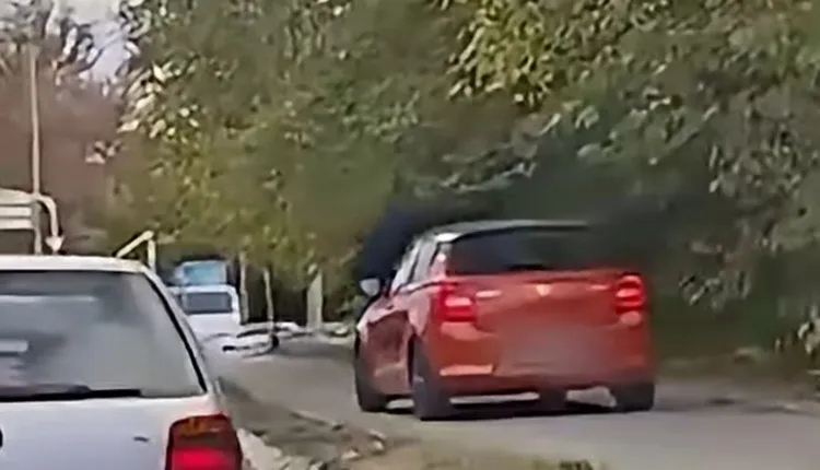 Со „сузуки“ по велосипедската патека на Бутелска: возачот го пронајде полицијата, благодарение на ТикТок