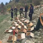 Над 4.000 бомби од Првата светска војна под Тумбе Кафе, а државата има само двајца вработени пиротехничари
