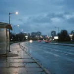 Кучиња кај Цементара, дизел од 99 денари, отказ за администрацијата, втор круг во Брвеница