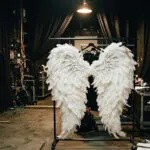 Роме Стрејд беше „ангел“ на Victoria's Secret, а сега не помина на кастинг: „Беше одлична, но мислеа дека нема да се вклопиш“