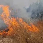 Октомври, а Македонија сè уште гори: 30 пожари за еден ден, пет од нив на депонии и ѓубре